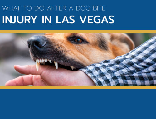What to Do After a Dog Bite Injury in Las Vegas