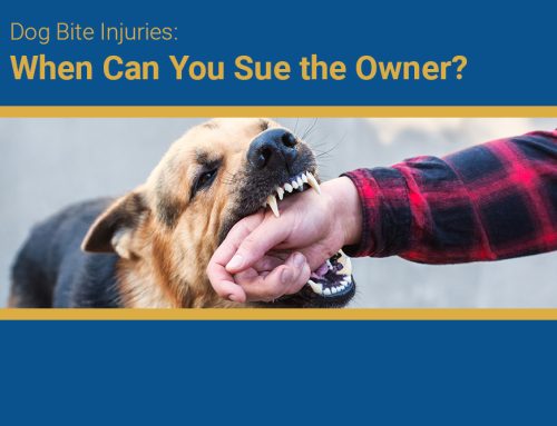 Dog Bite Injuries: When Can You Sue the Owner?