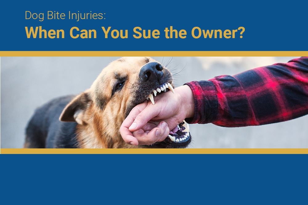 Dog Bite Injuries: When Can You Sue the Owner?